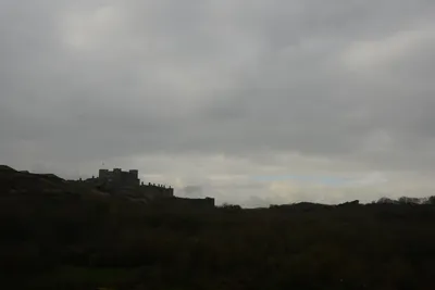 DSC_1305 (Large).JPG